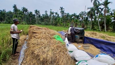 Petani Pahlawan Pangan Desa Sungai Rambai